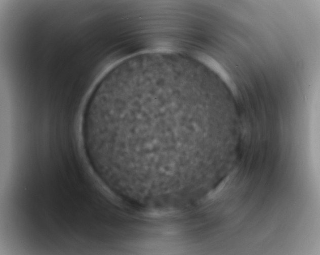 X0000092081091200709262100
