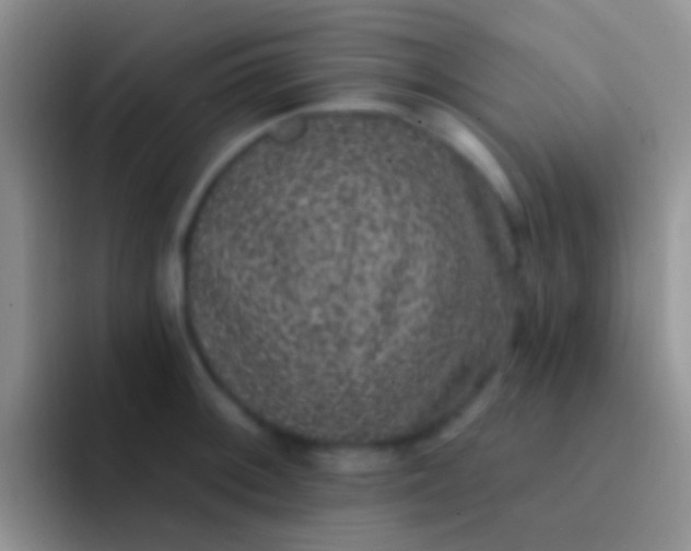 X0000092081092200709262100