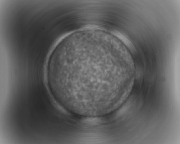 X0000092081094200709262100