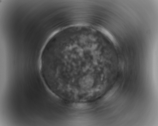 X0000092081095200709262059