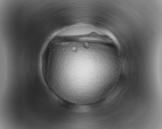 X0000092081096200709262059