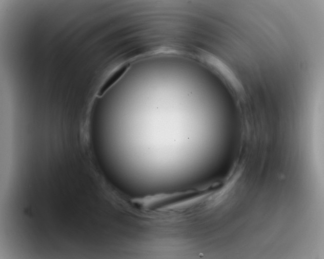 X0000092081097200709262059
