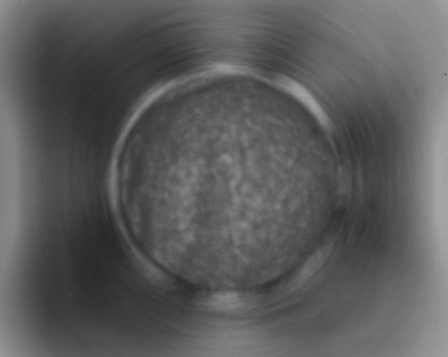 X0000092081098200709262059
