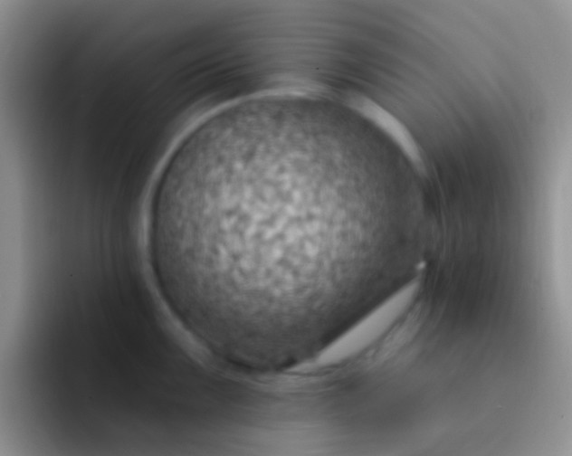 X0000092081099200709262059