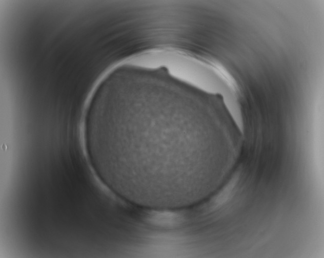 X0000092081100200709262059