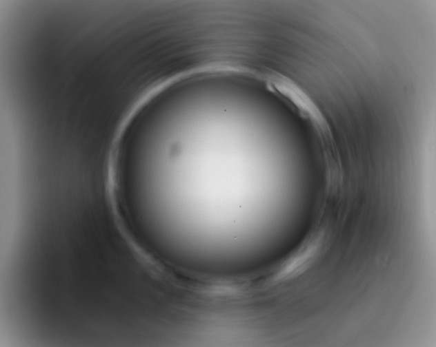 X0000092081101200709262059