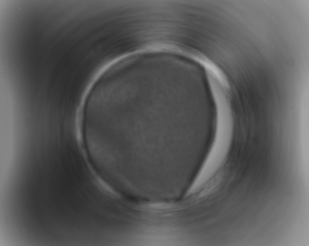 X0000092081102200709262059