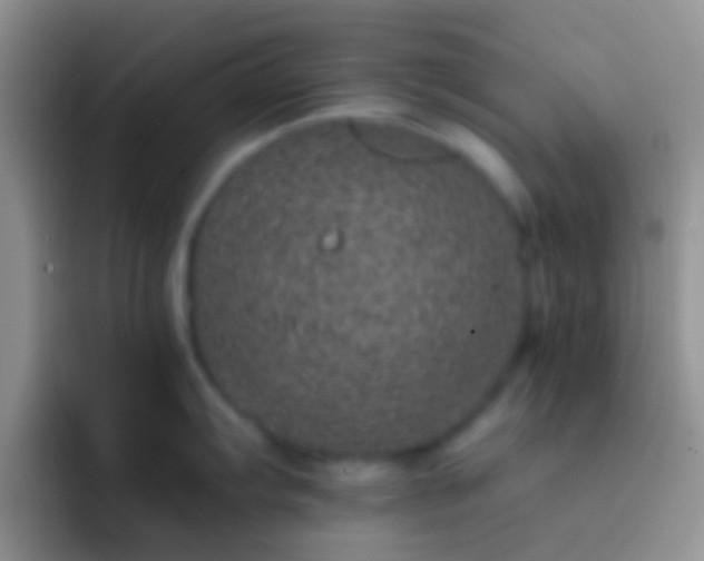 X0000092081103200709262059