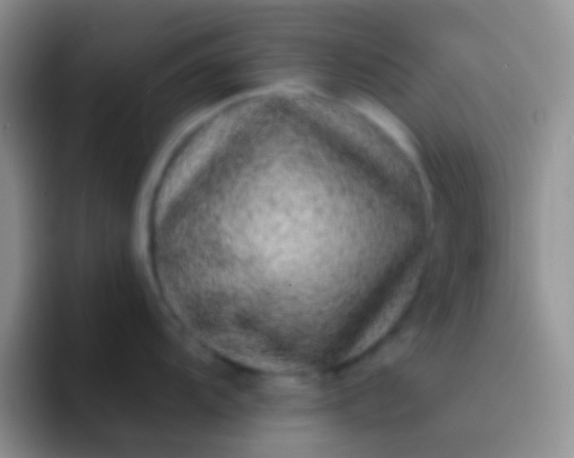 X0000092081104200709262059
