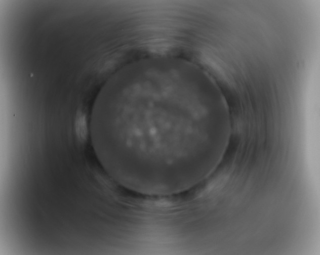 X0000092081106200709262059
