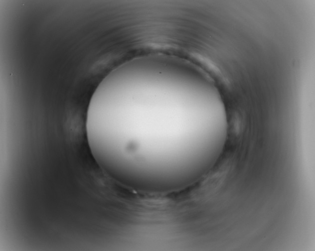 X0000092081110200709262059