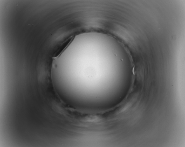 X0000092081112200709262059