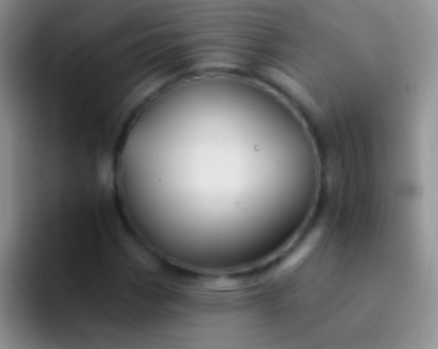 X0000092081113200709262059