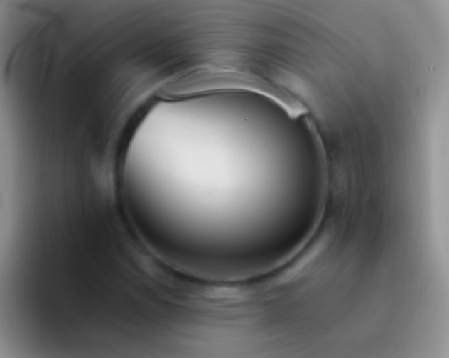 X0000092081114200709262059