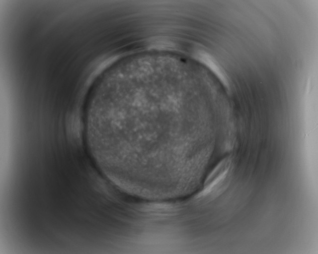 X0000092081115200709262059
