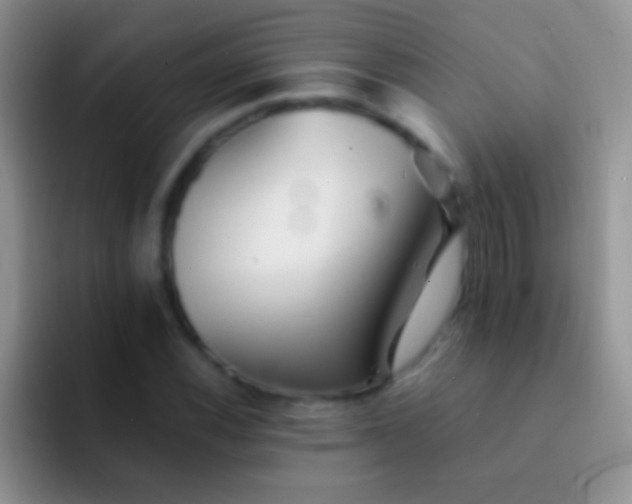 X0000092081116200709262059