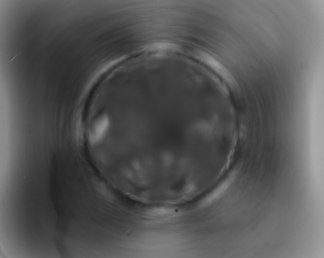 X0000092081117200709262059