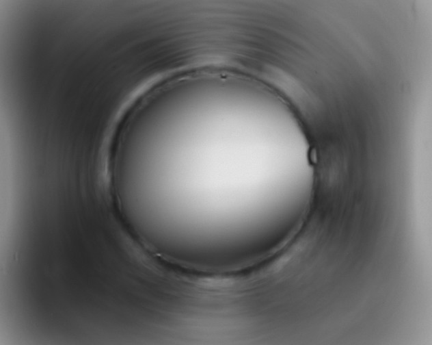 X0000092081118200709262059