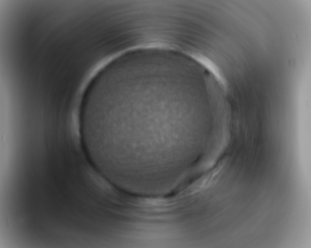 X0000092081120200709262059