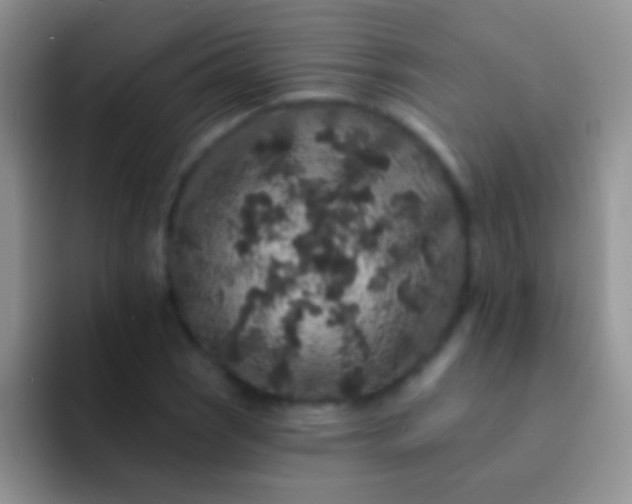 X0000092081121200709262059