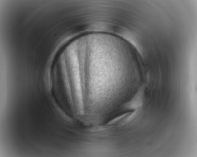 X0000092081123200709262059