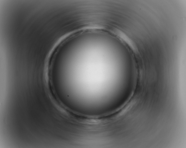 X0000092081124200709262059