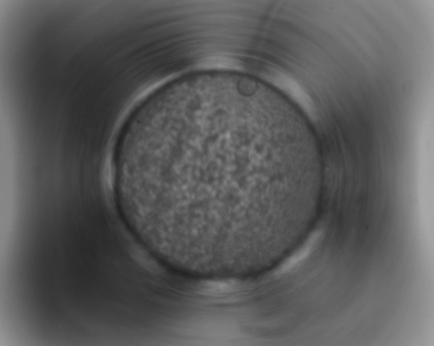 X0000092081125200709262059