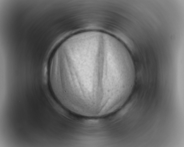 X0000092081126200709262059