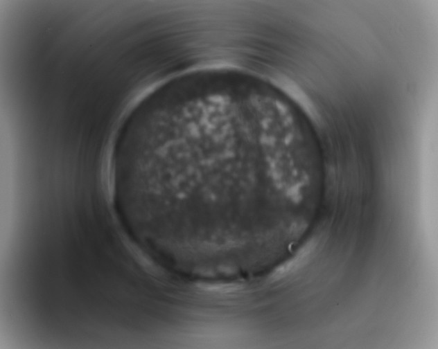 X0000092081127200709262059