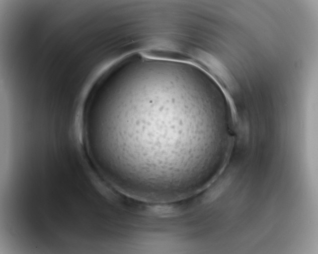 X0000092081128200709262059