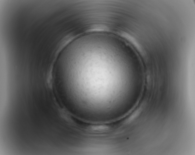 X0000092081129200709262059