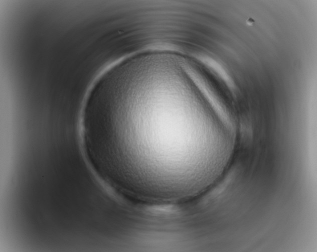 X0000092081133200709262059