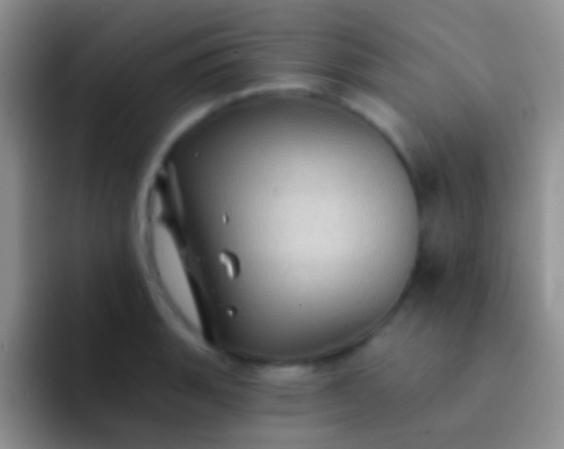 X0000092081135200709262059