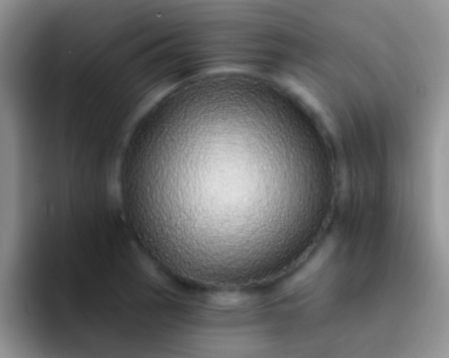 X0000092081137200709262059