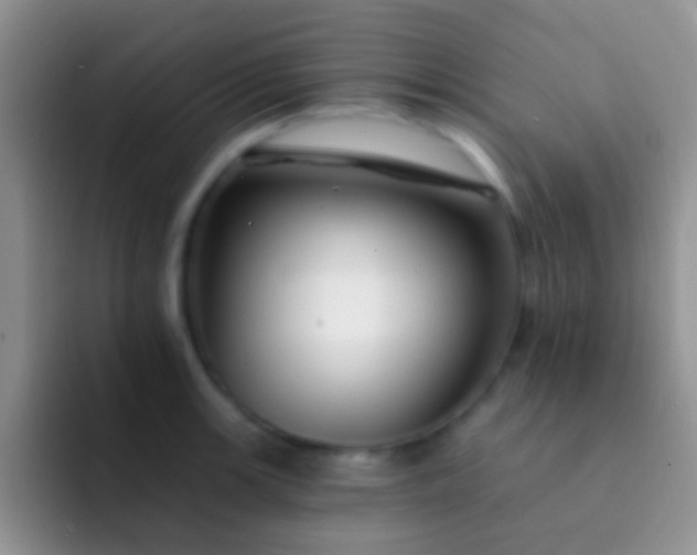 X0000092081139200709262059
