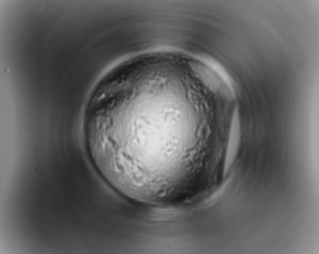 X0000092081142200709262059