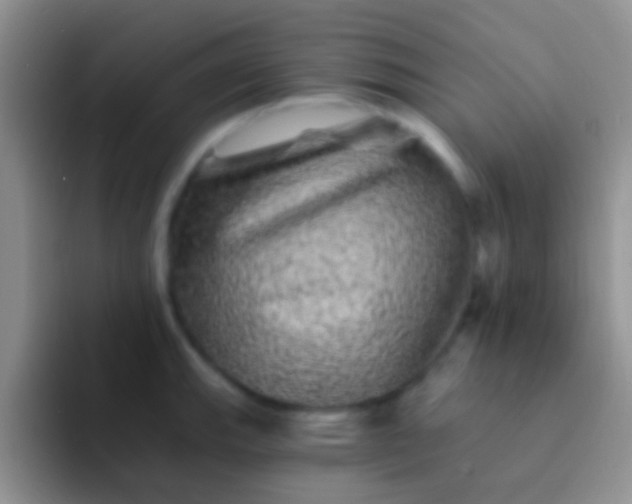 X0000092081143200709262059