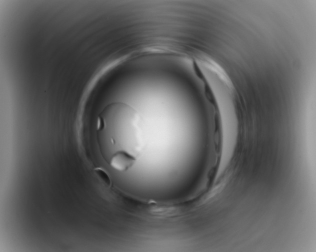 X0000092081146200709262059