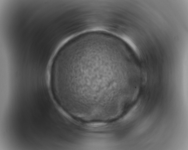 X0000092081151200709262059
