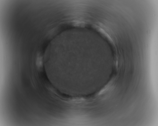 X0000092081154200709262059