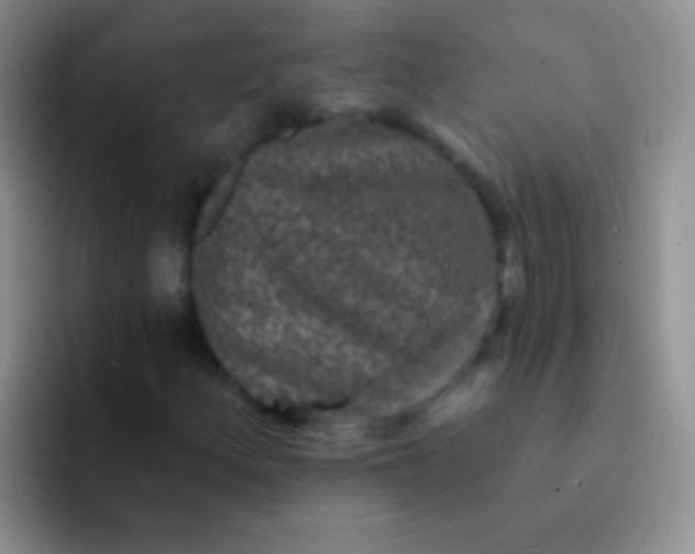 X0000092081156200709262059