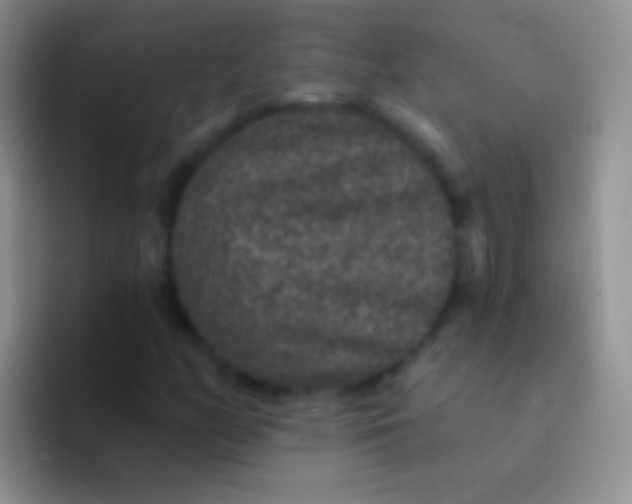 X0000092081158200709262059