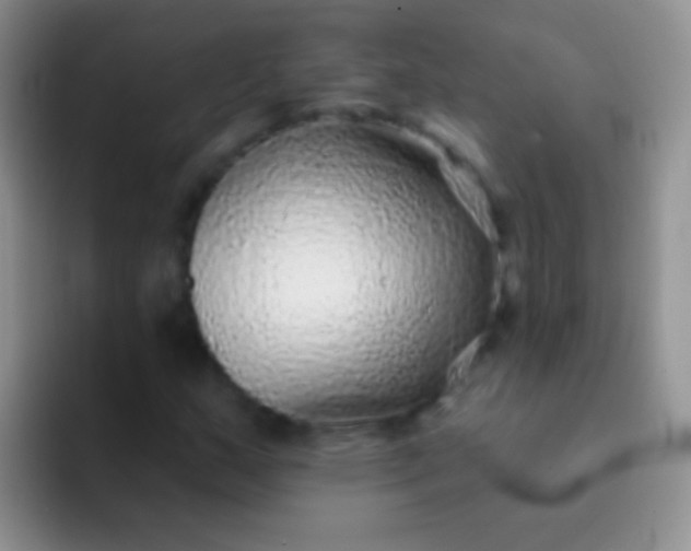 X0000092081159200709262059