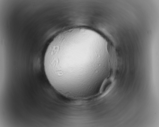 X0000092081163200709262059