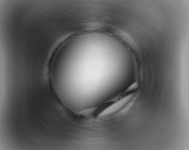 X0000092081164200709262059
