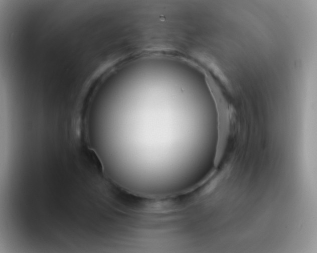 X0000092081165200709262059