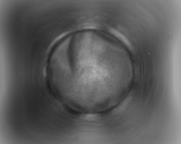 X0000092081166200709262059