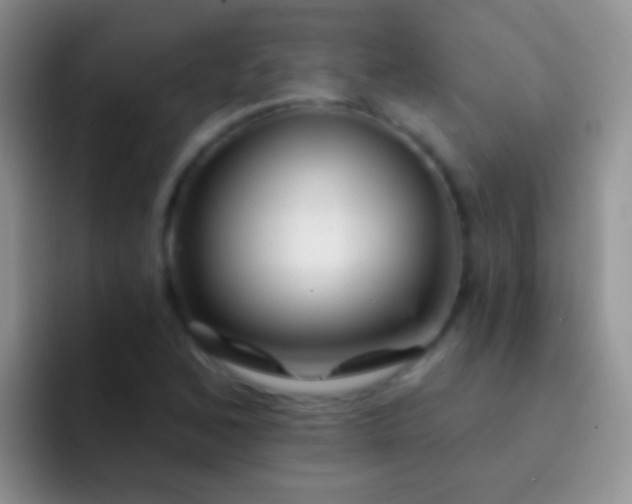 X0000092081168200709262059