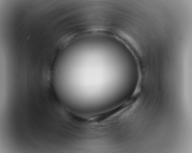 X0000092081169200709262059