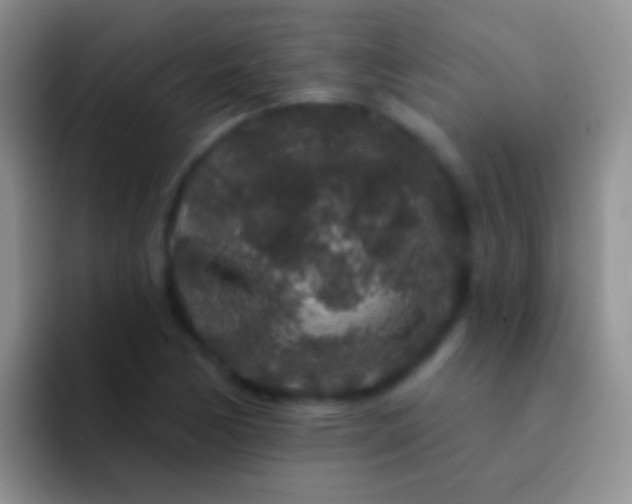 X0000092081170200709262059